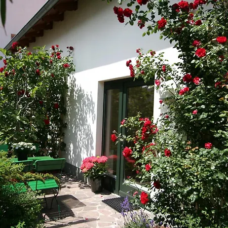 Auf Dem Blumenhof *